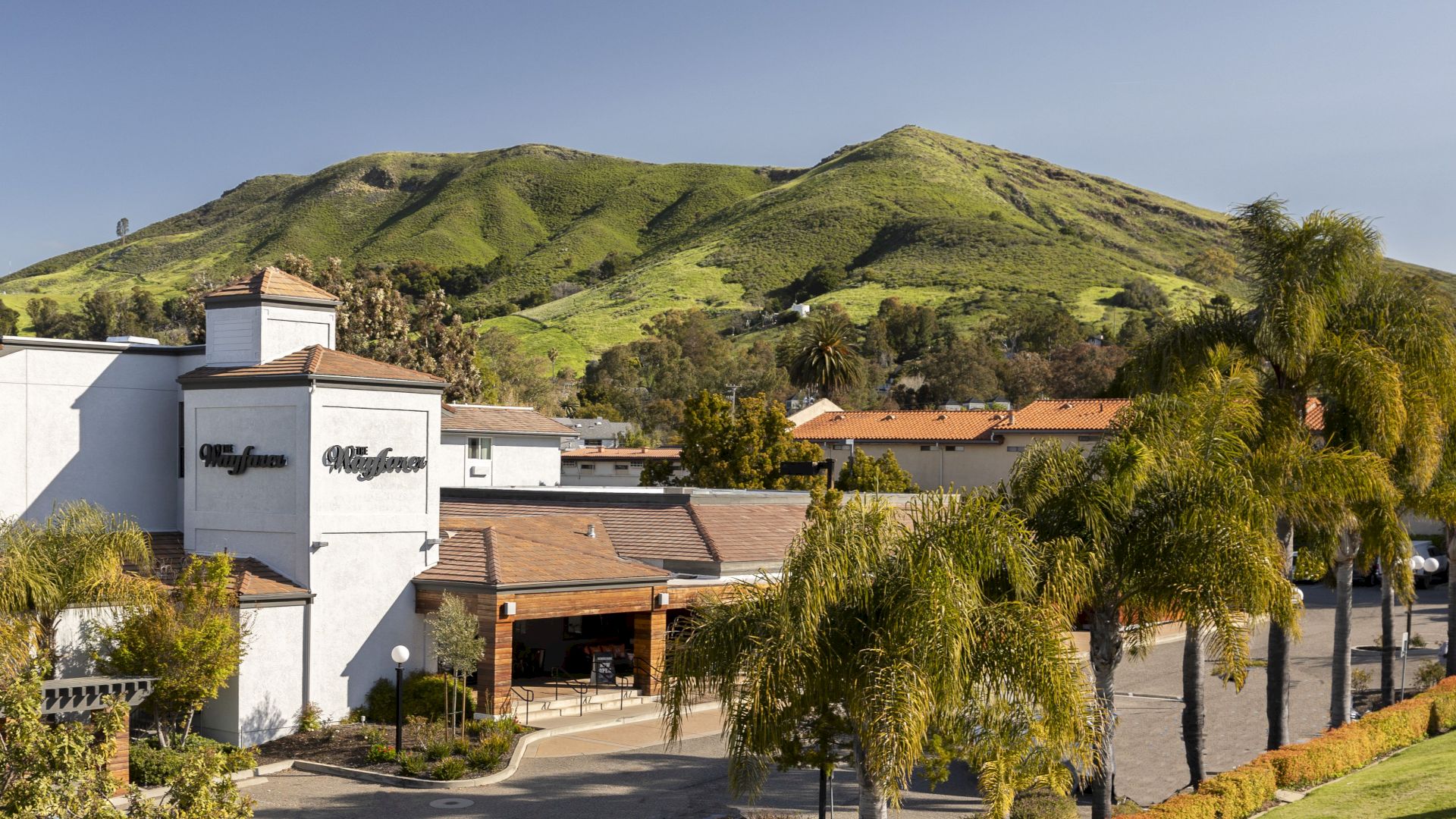 A hotel courtyard with palm trees, white buildings, terracotta roofs, and green hills under a clear blue sky.