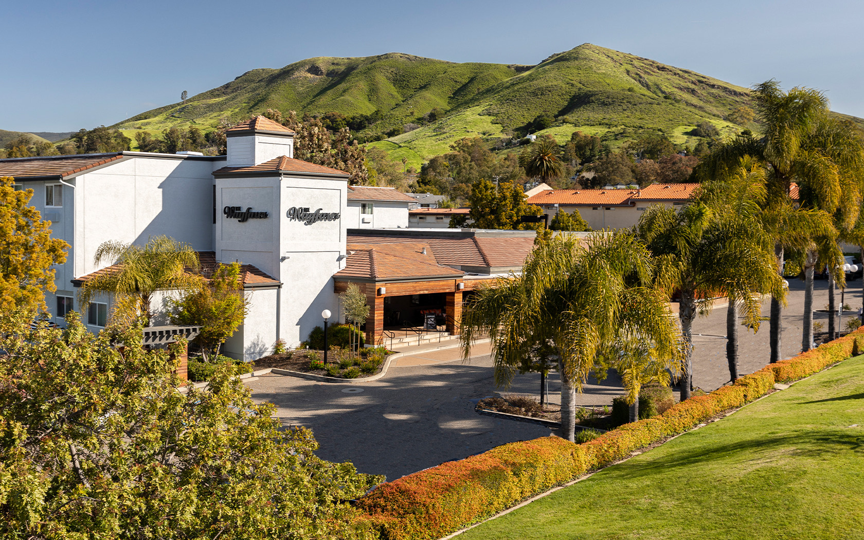 A small suburban business complex with white buildings, palm trees, and a parking lot, set against green hills in the background.